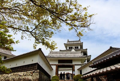 美しき郡上八幡城