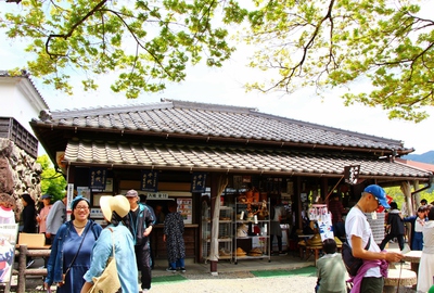 美しき郡上八幡城