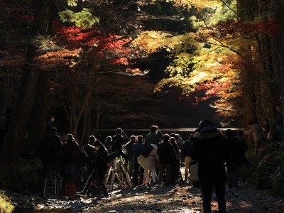 小國神社２０２１紅葉