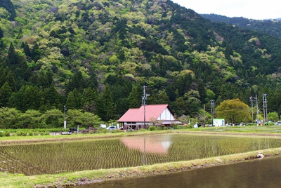 名所「モネの池」