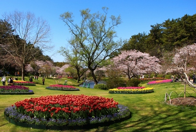 今年見納め　桜14’