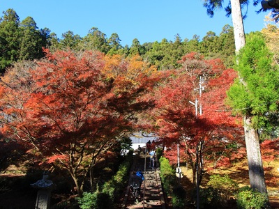 大洞院２０２１紅葉