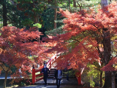 大洞院２０２１紅葉