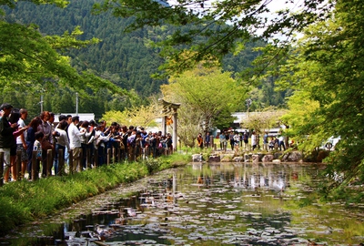 名所「モネの池」
