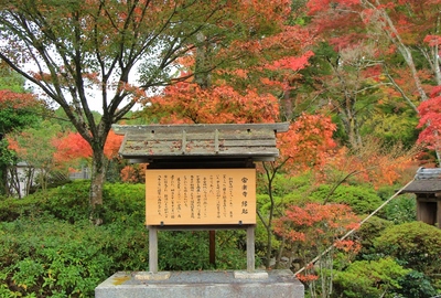 湖南三山『常楽寺』の紅葉