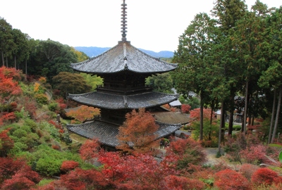湖南三山『常楽寺』の紅葉