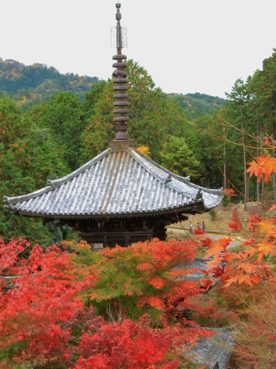 湖南三山『常楽寺』の紅葉