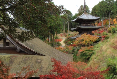 湖南三山『常楽寺』の紅葉
