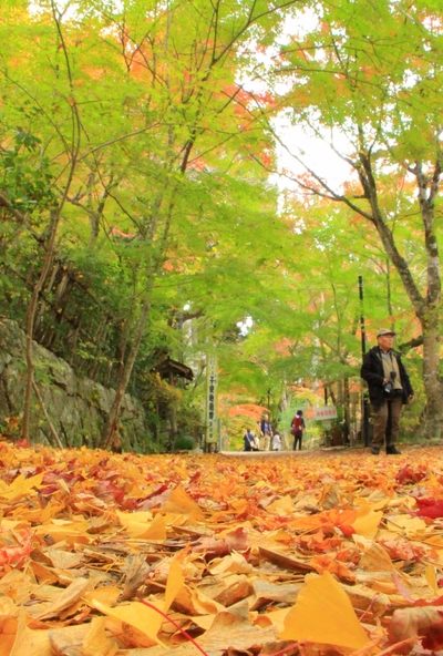 湖南三山『長寿寺』の紅葉