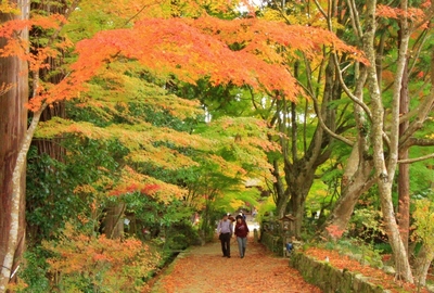 湖南三山『長寿寺』の紅葉