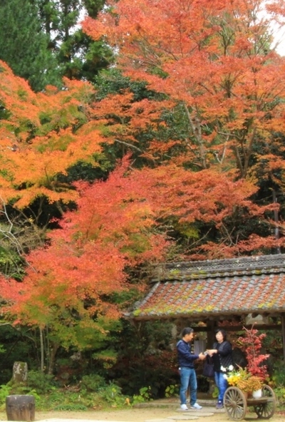 湖南三山『長寿寺』の紅葉