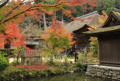 湖南三山『長寿寺』の紅葉