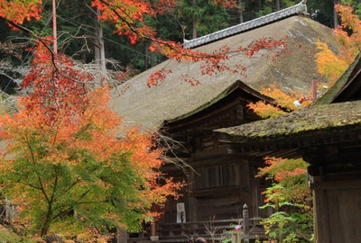湖南三山『長寿寺』の紅葉