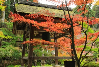 湖南三山『長寿寺』の紅葉