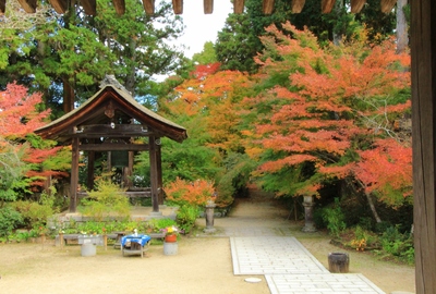 湖南三山『長寿寺』の紅葉