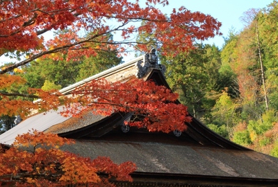湖南三山『善水寺』の紅葉