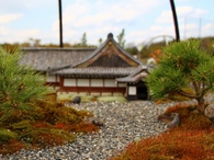 大花壇「花銀河」