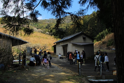 長楽寺「梅のトンネル」