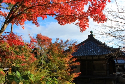湖南三山『善水寺』の紅葉