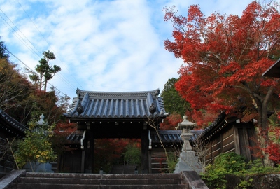 『西應寺』の紅葉