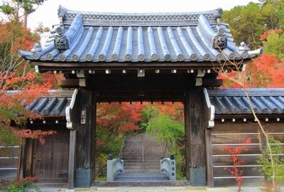 『西應寺』の紅葉
