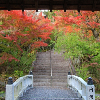 『西應寺』の紅葉