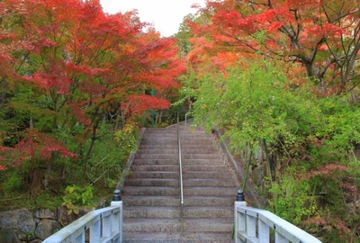 『西應寺』の紅葉