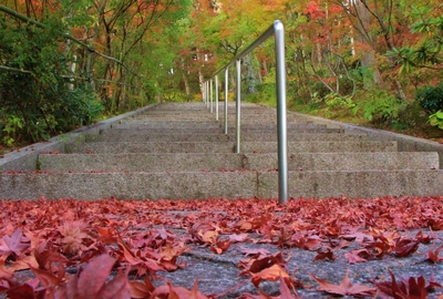 『西應寺』の紅葉