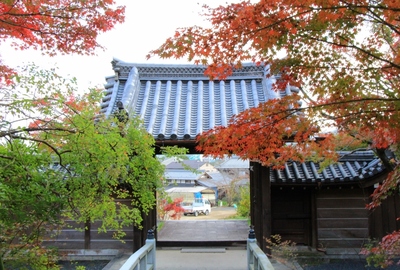 『西應寺』の紅葉