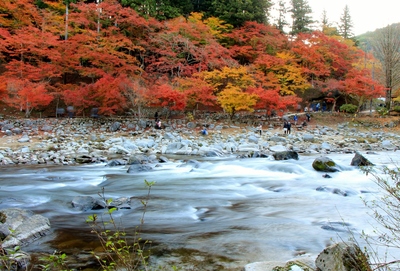 真っ赤に燃える香嵐渓