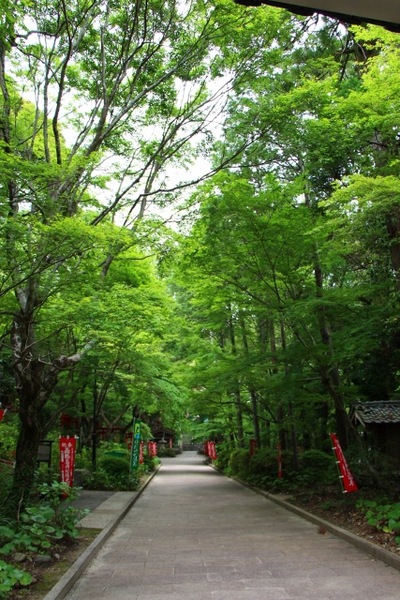 油山寺の境内