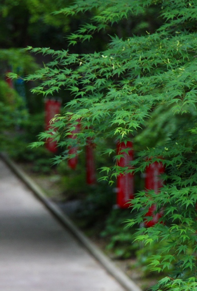 油山寺の境内