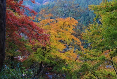 真っ赤に燃える香嵐渓