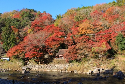 真っ赤に燃える香嵐渓
