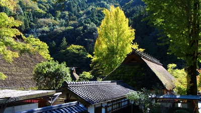 紅葉間近の香嵐渓