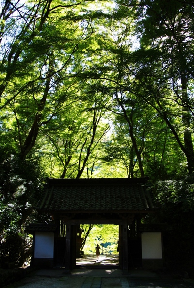 紅葉間近の香嵐渓