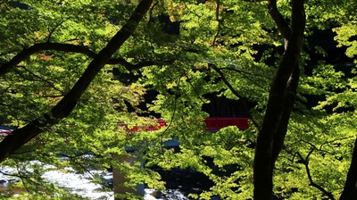 紅葉間近の香嵐渓