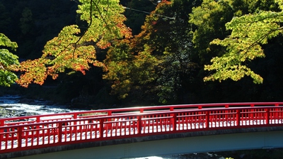 紅葉間近の香嵐渓