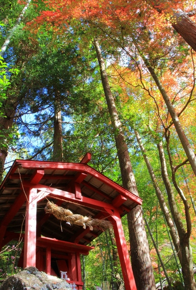 岩屋堂公園の紅葉
