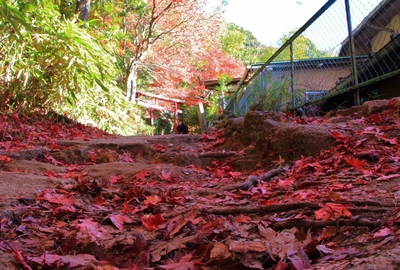 岩屋堂公園の紅葉