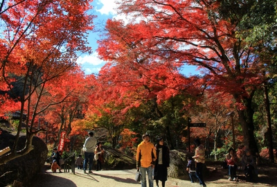 岩屋堂公園の紅葉