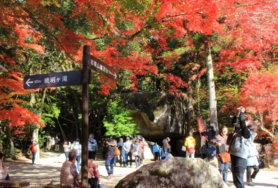 岩屋堂公園の紅葉
