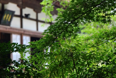 龍潭寺の巻
