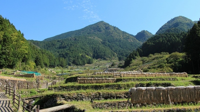 四谷千枚田