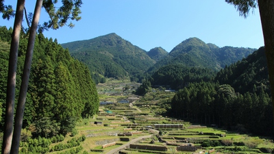 四谷千枚田
