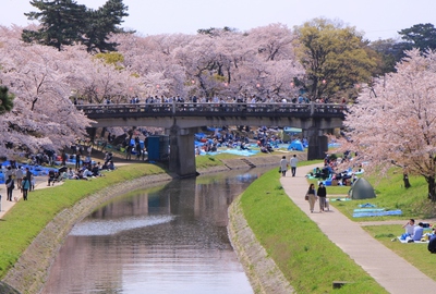 18年桜『岡崎城公園』