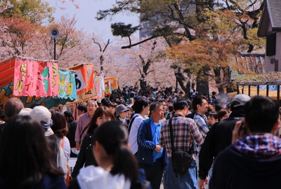 18年桜『岡崎城公園』