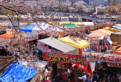 18年桜『岡崎城公園』