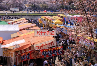 18年桜『岡崎城公園』