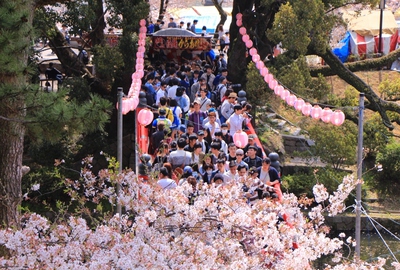 18年桜『岡崎城公園』
